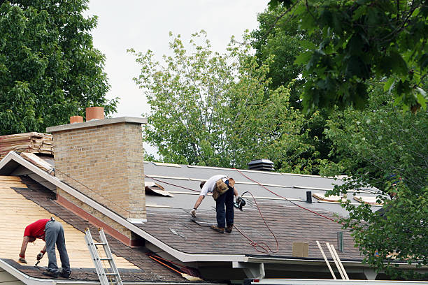 Best Emergency Roof Repair Services  in Albany, WI